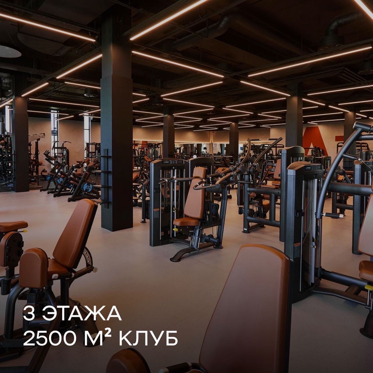 FitnessPro