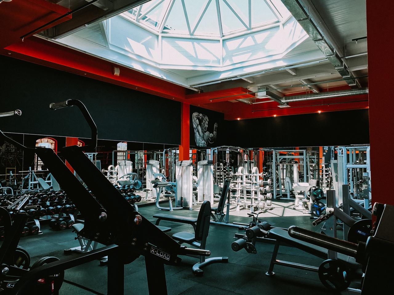 Фитнес-клуб «Lion Fitness»