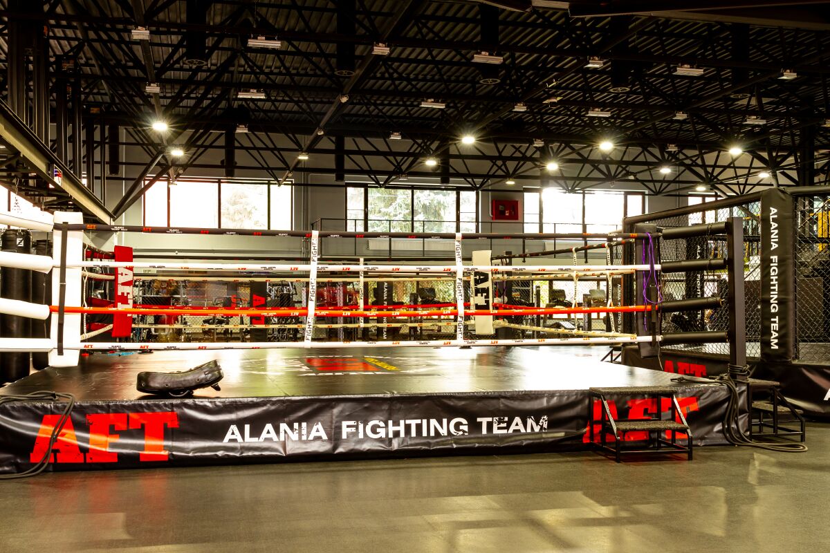 Академия боевых искусств «Alania Fighting Team»