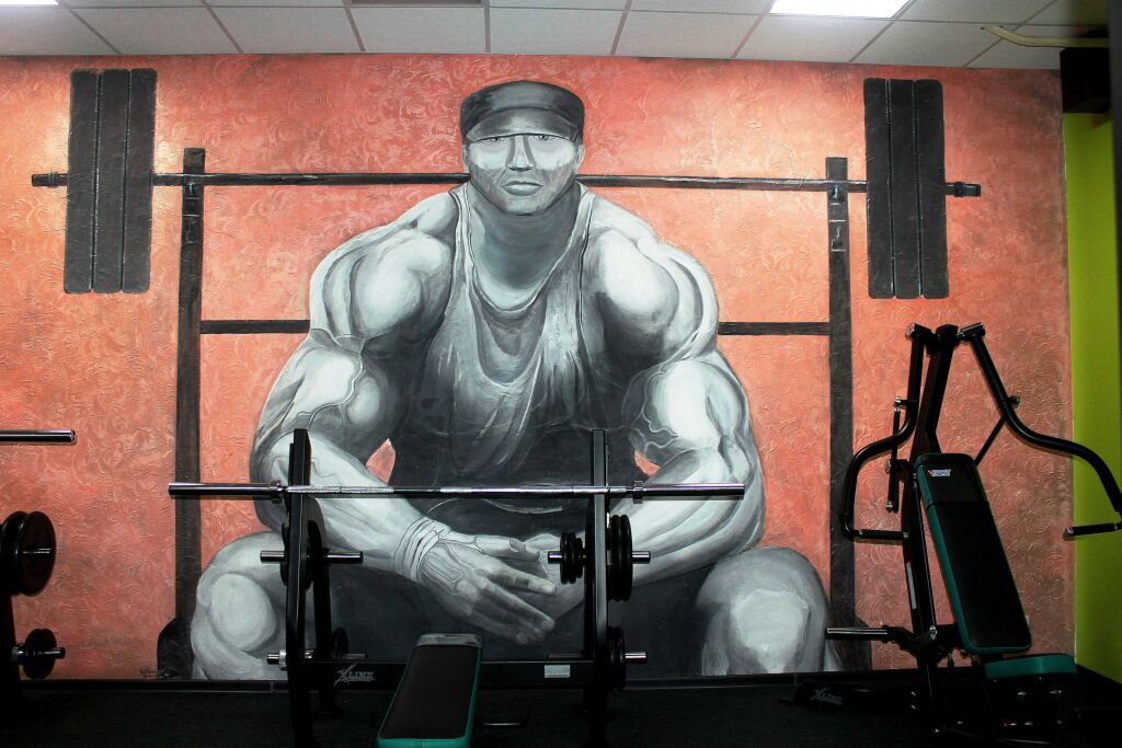 Фитнес-клуб «WellFit» (Грибанова)