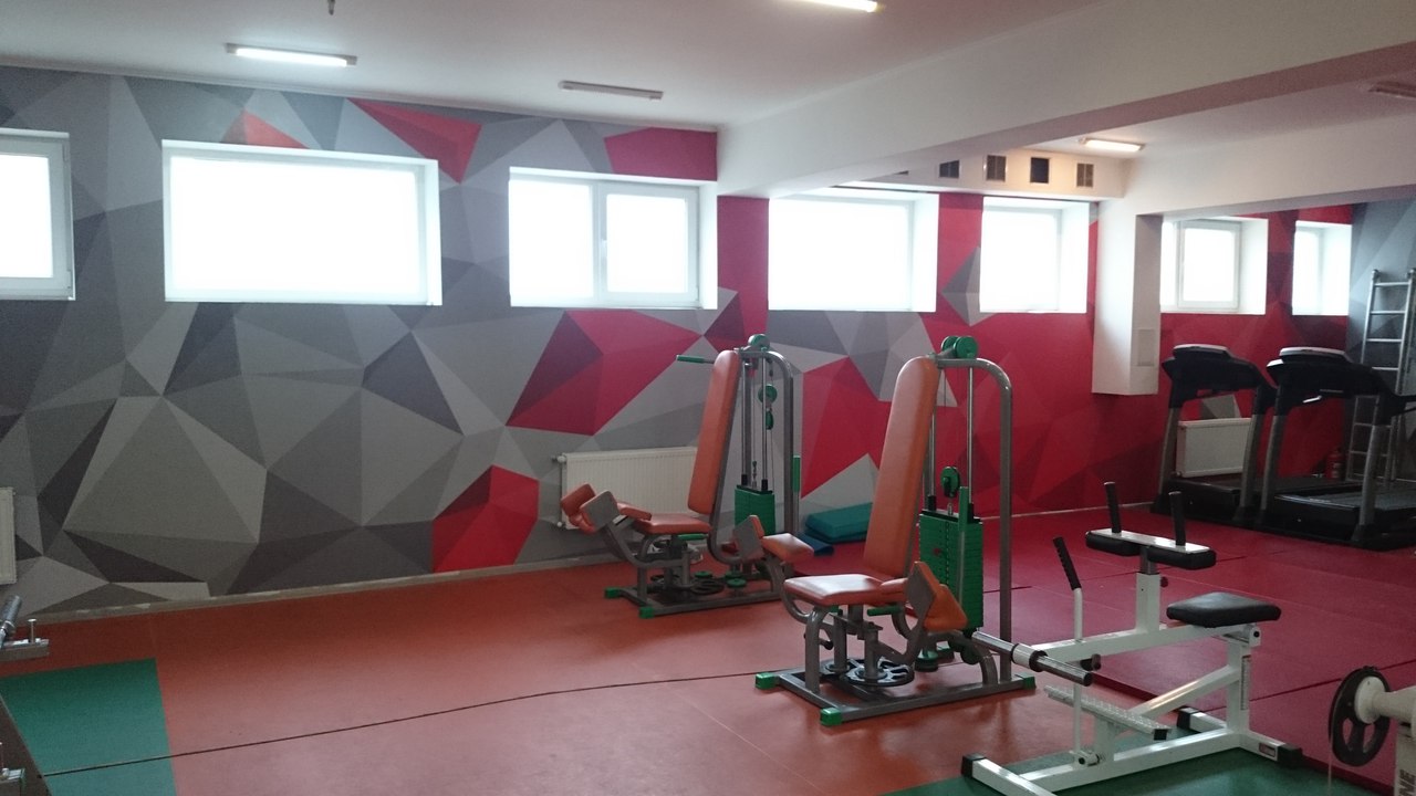 Спортивный клуб «Red Style»