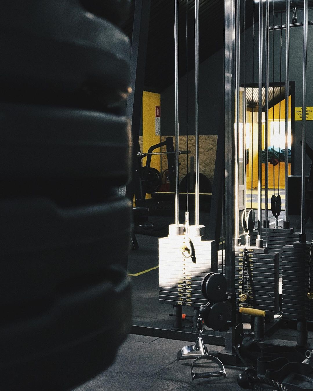 Фитнес-клуб «AlexFlex Gym»