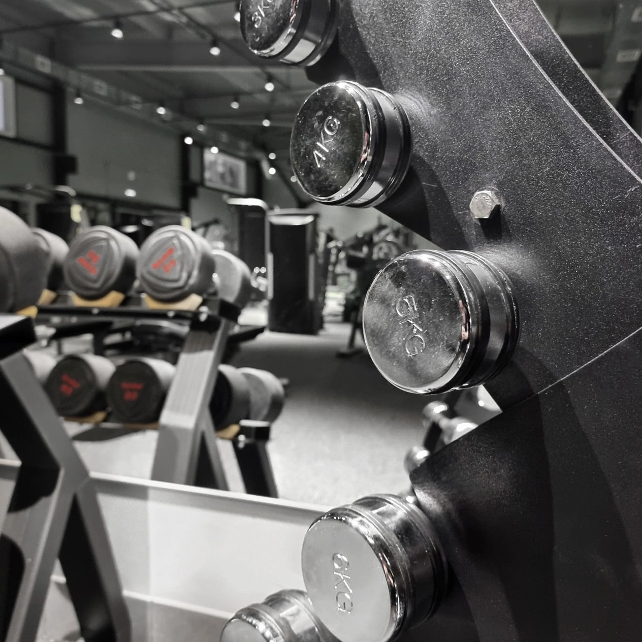 FitnessPro