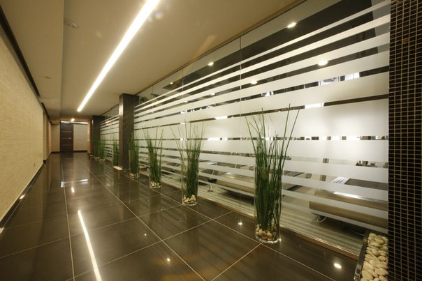 Фитнес-клуб «Gym Studio»