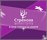 Лого Фитнес-центр «Стрекоза»