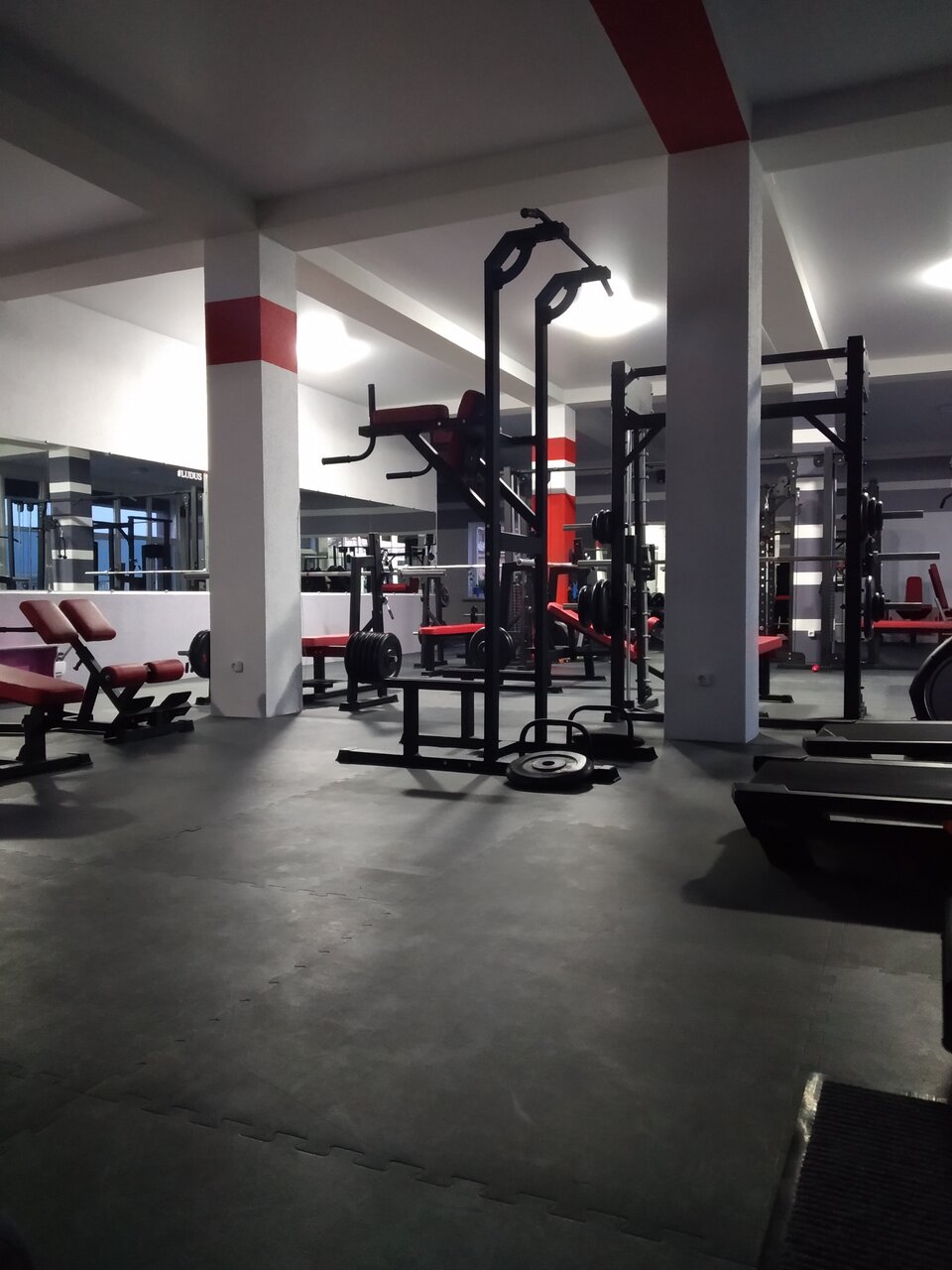 Спортивный клуб «Ludus»
