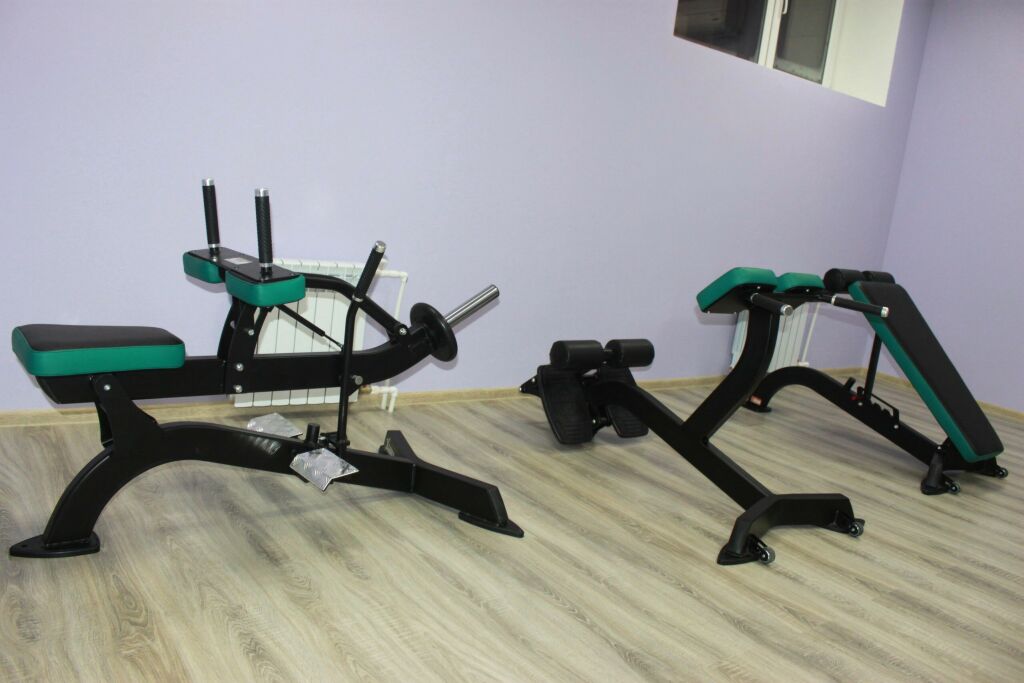 Фитнес-клуб «WellFit» (Грибанова)