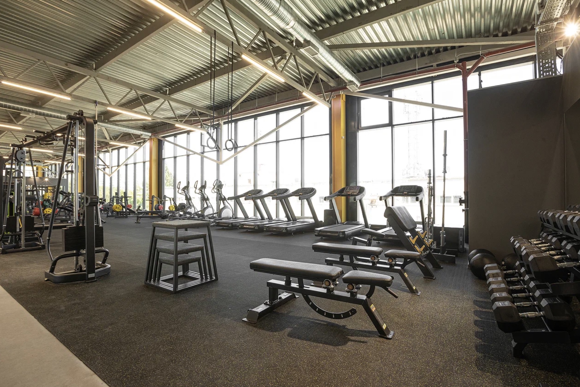 FitnessPro