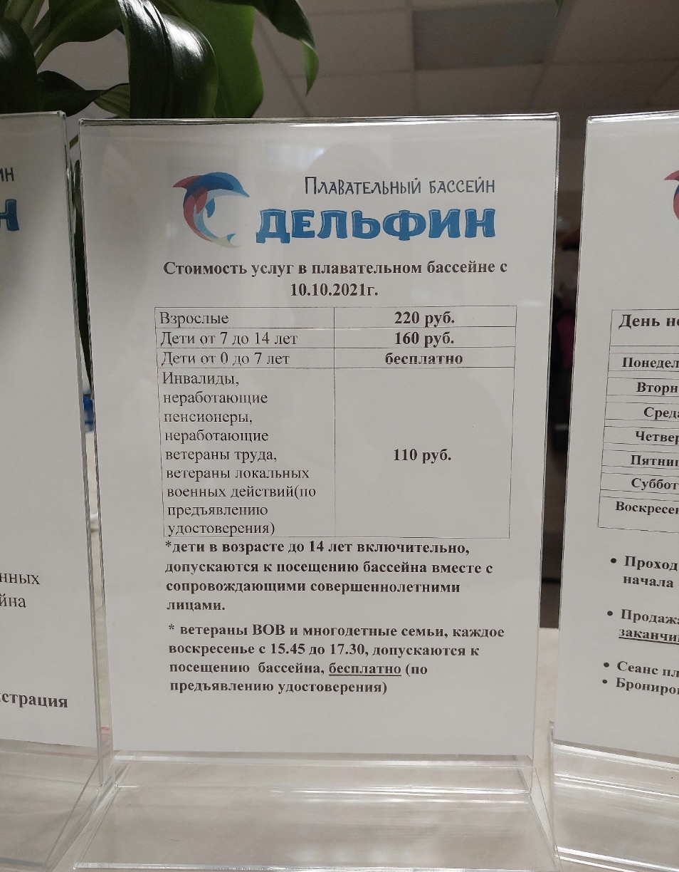 Плавательный бассейн «Дельфин»