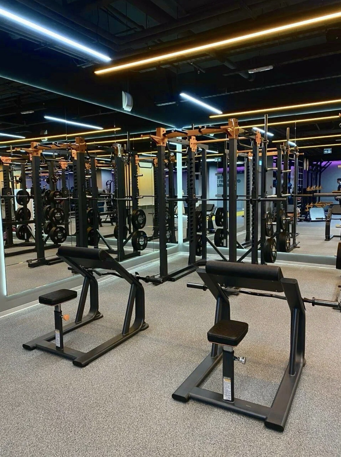 Фитнес-клуб «Spirit Fitness» (Плесецкая)
