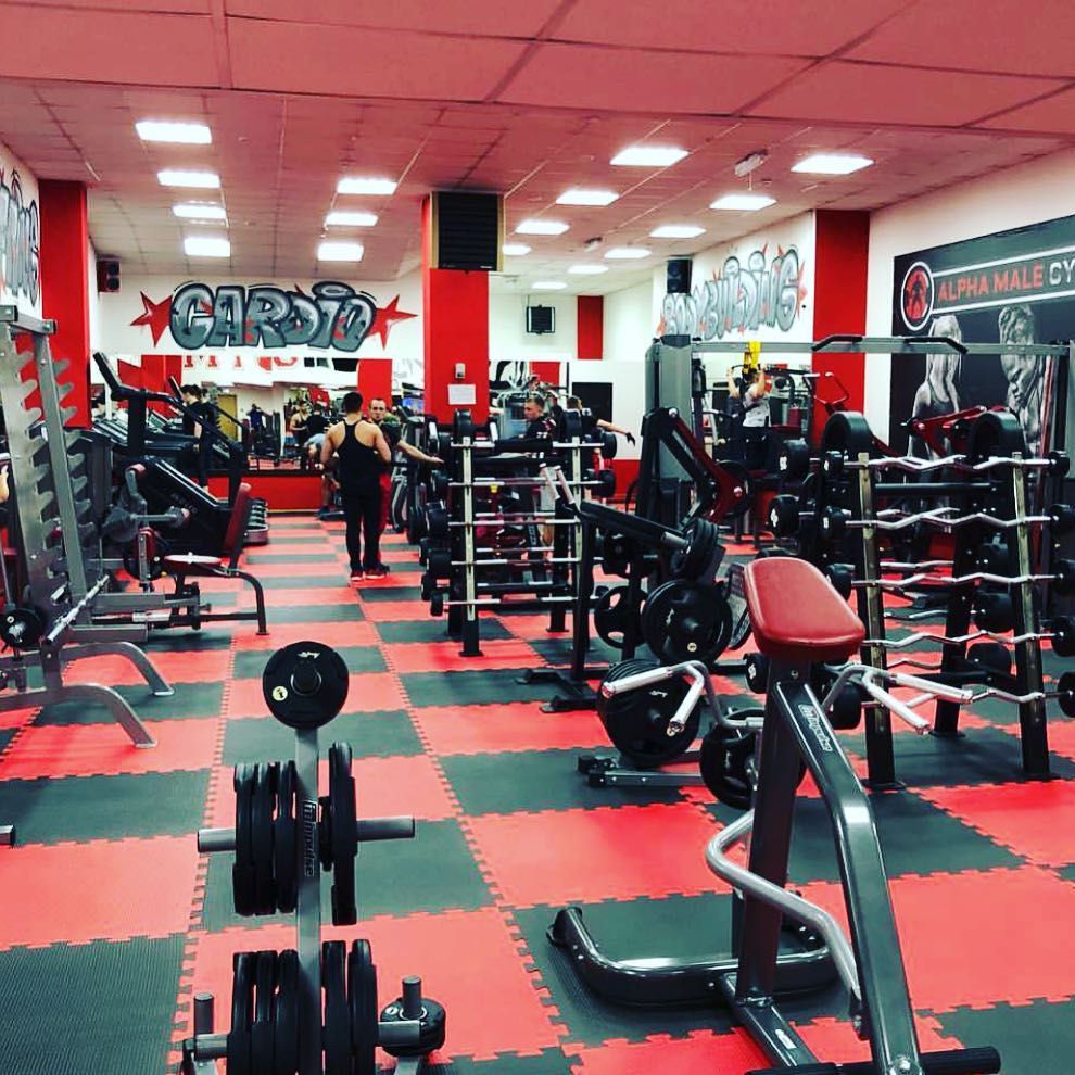 FitnessPro