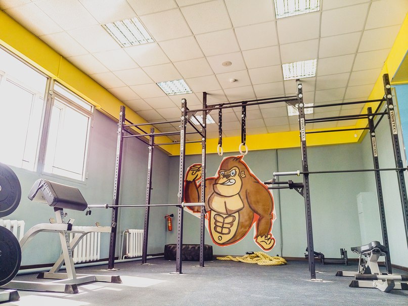 Фитнес-клуб «Gorilla Fit»