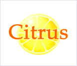 Лого Студия фитнеса и танца «Citrus»