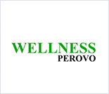 Лого Фитнес-клуб «Wellness Perovo»