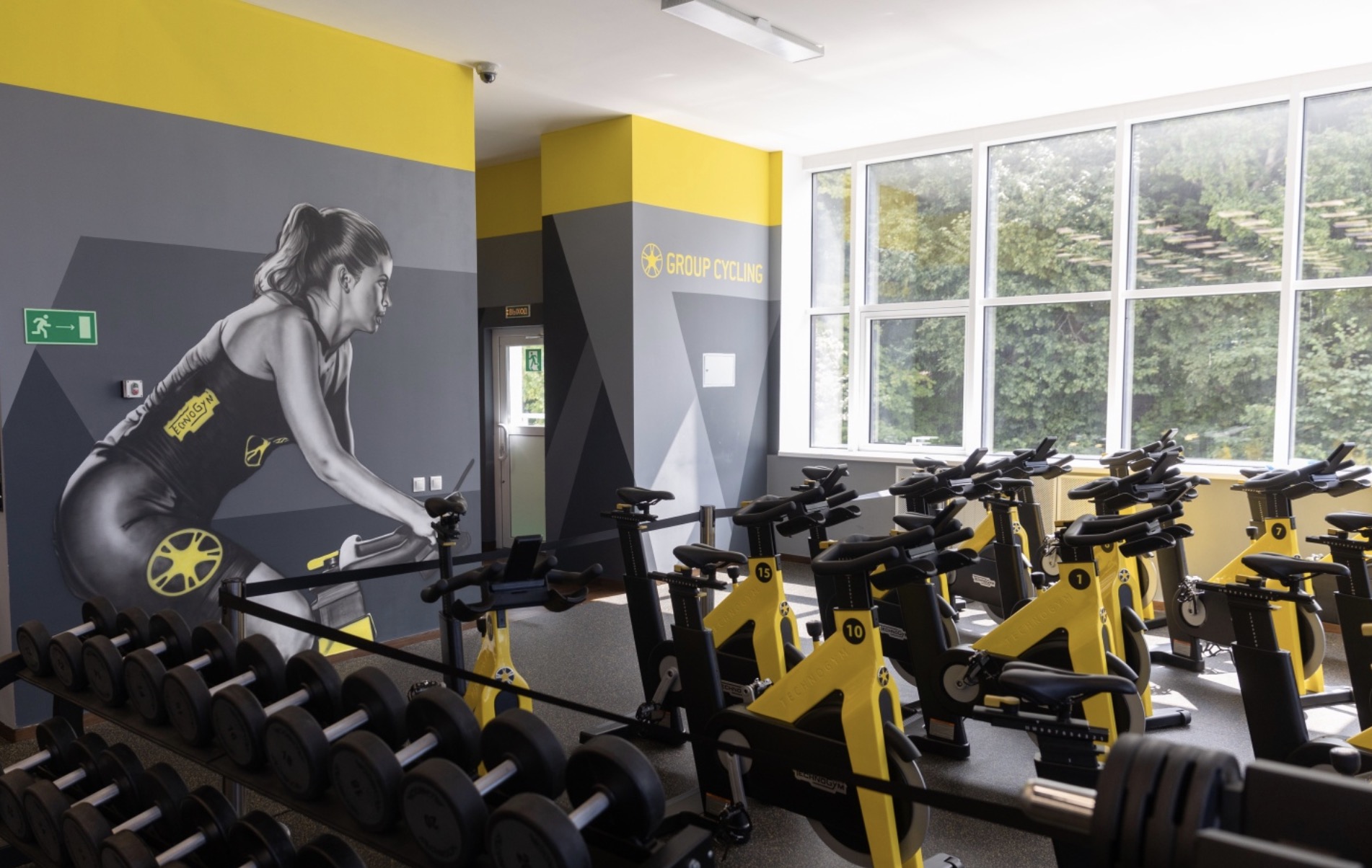 FitnessPro