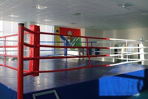 Физкультурно-спортивный комплекс «Планета спорта»