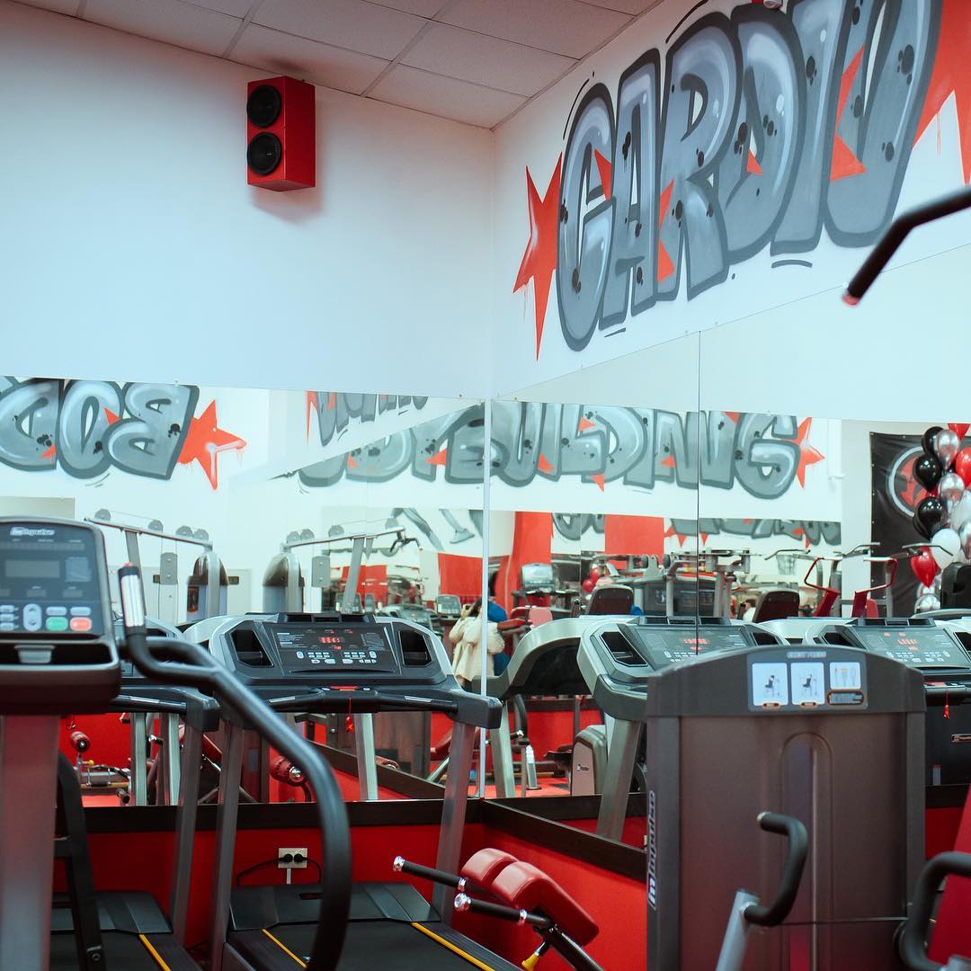 Тренажерный зал «Alpha Male Gym»