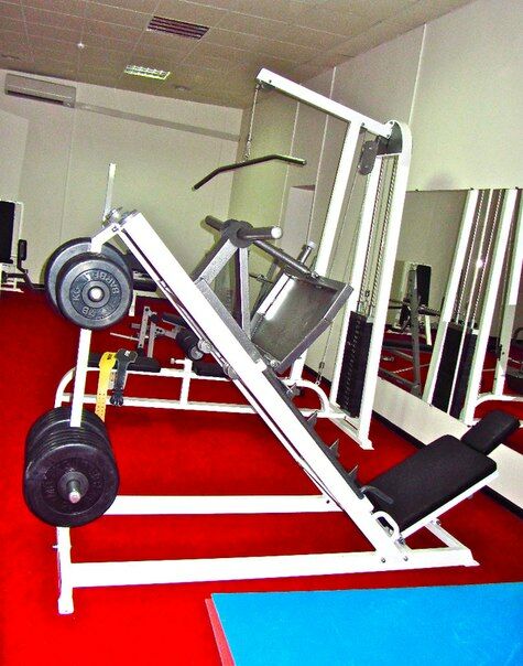 Спортивный клуб «LS GYM»