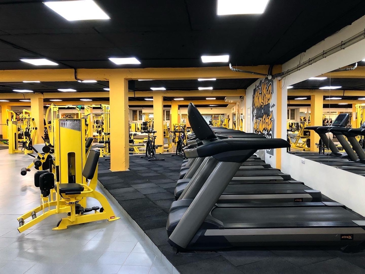 Фитнес-клуб «Grizzly Gym»