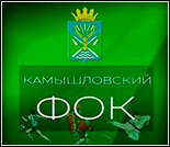 Лого Камышловский ФОК