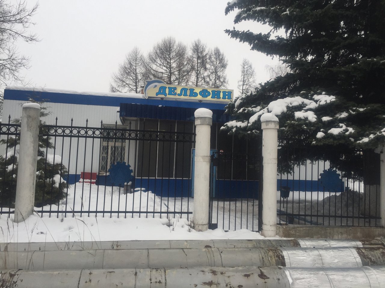 Плавательный бассейн «Дельфин»