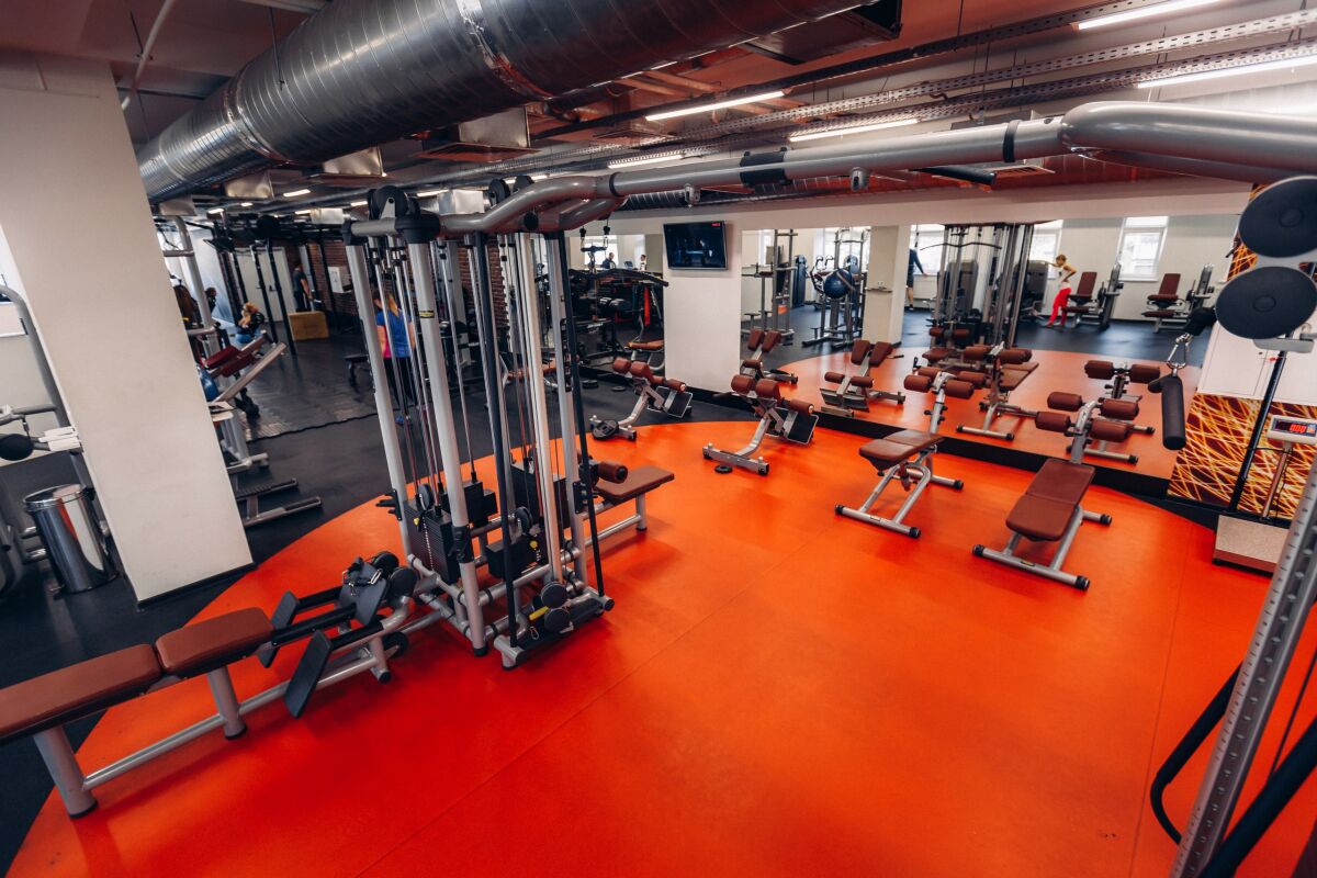 Фитнес-клуб «Athletic Gym» (Домино)
