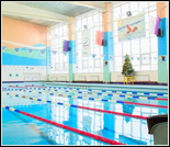 Лого Дом спорта «Нижегородец»