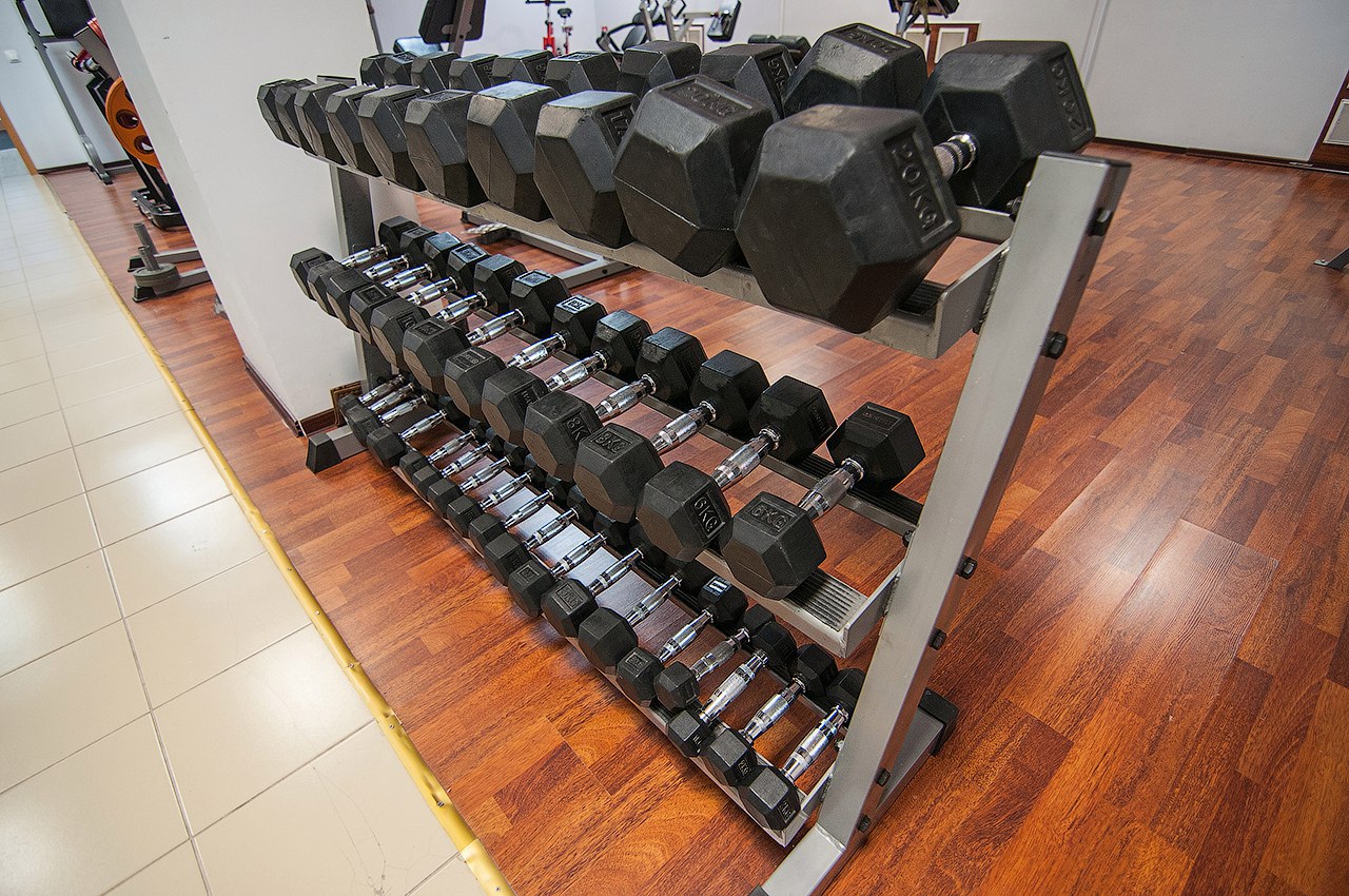 Тренажерный зал «N-Fitness»