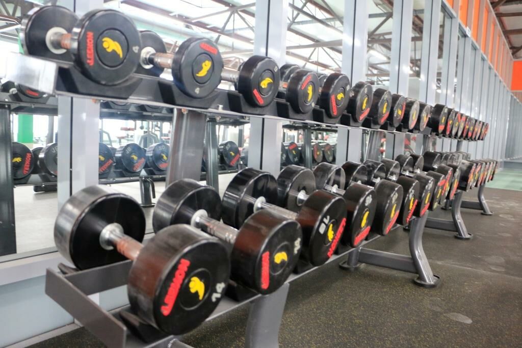 FitnessPro