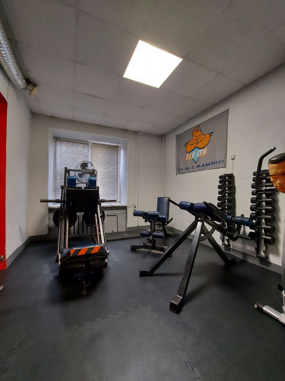 Фитнес-клуб «VIP GYM»