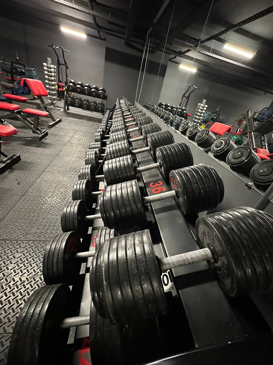 FitnessPro