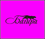 Лого Фитнес-центр «Багира»