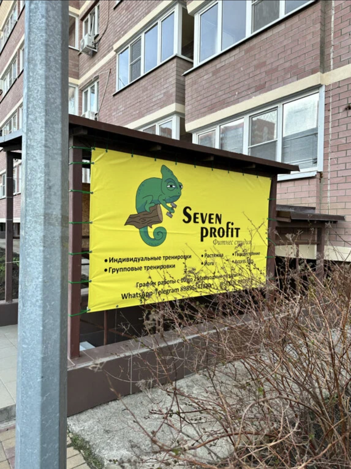 Фитнес-студия «Seven Profit»