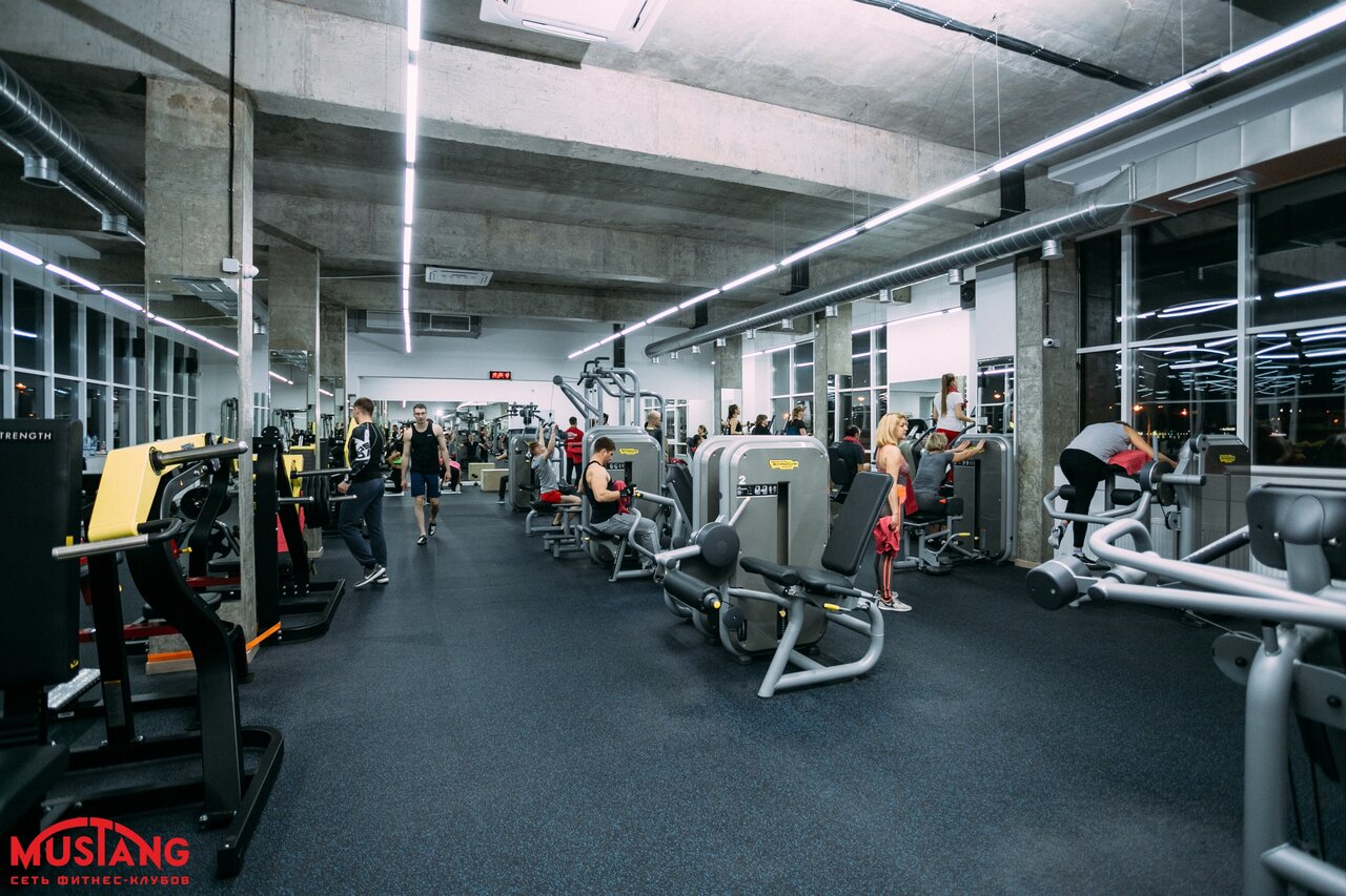 FitnessPro