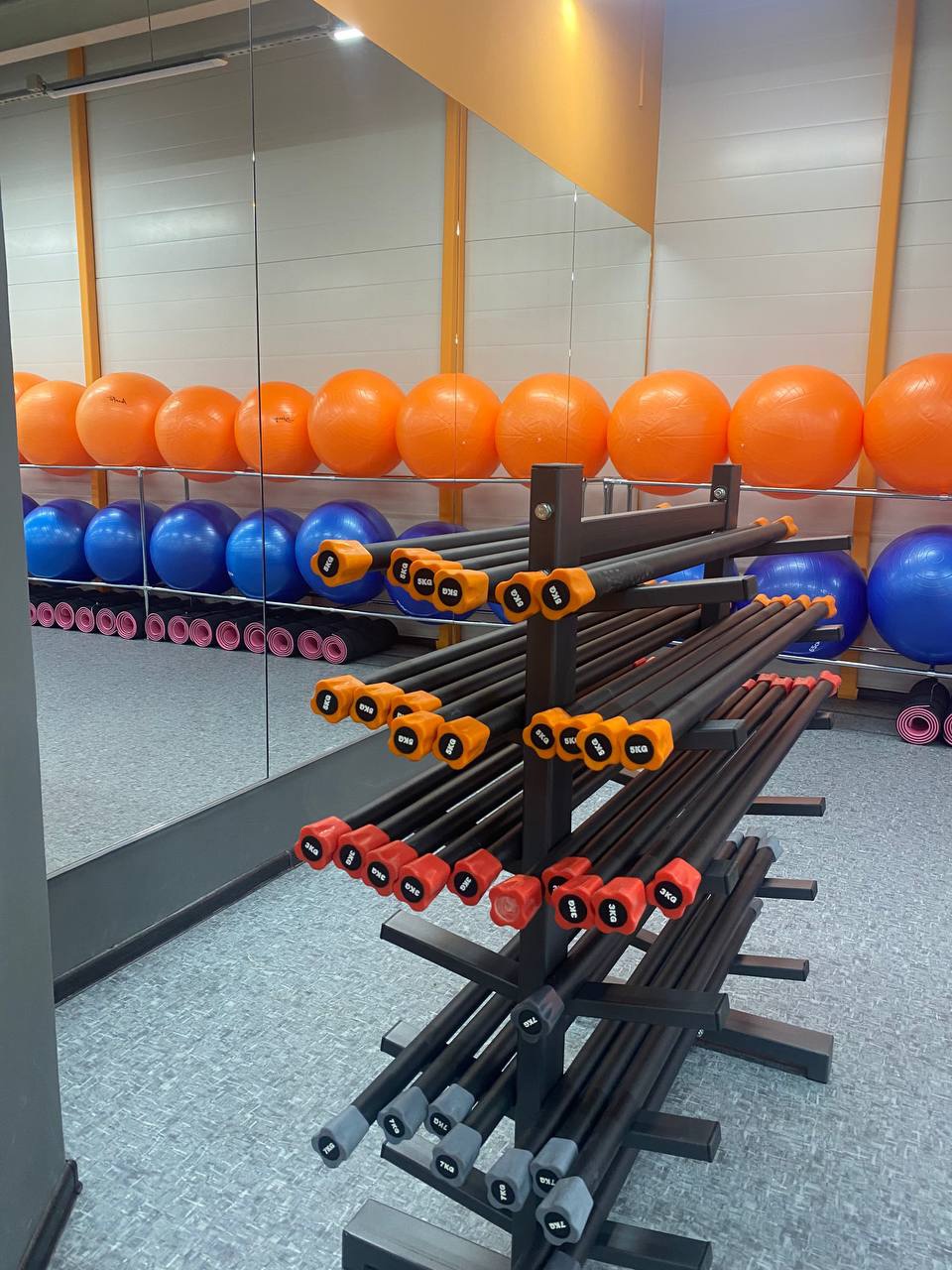 Фитнес-клуб «ProFitness»