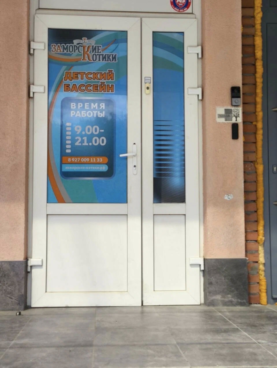 Детский бассейн «Заморские котики»