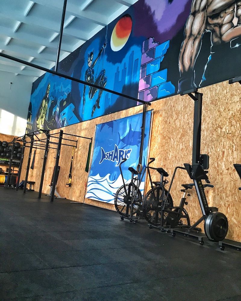 FitnessPro
