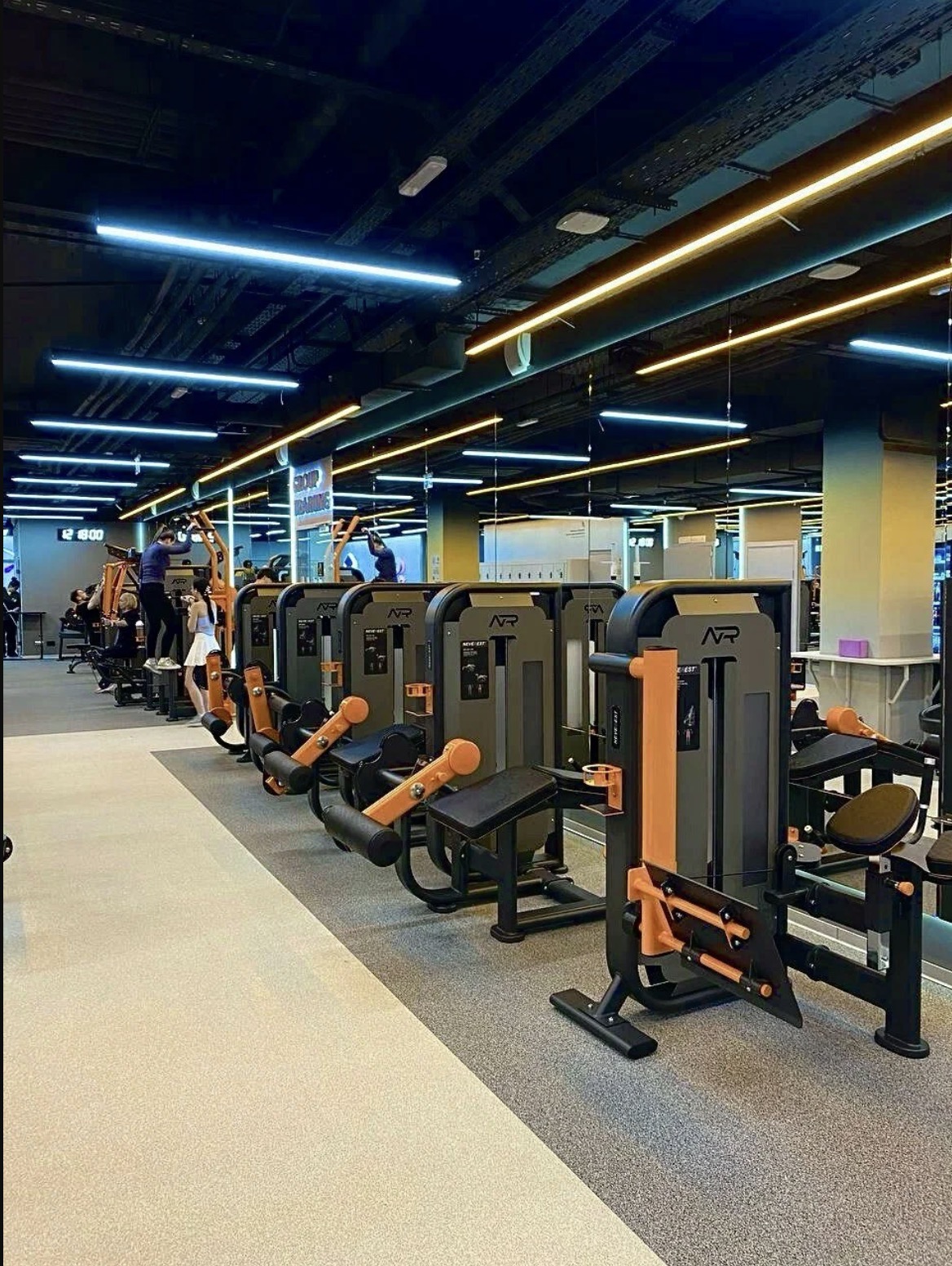 Фитнес-клуб «Spirit Fitness» (Плесецкая)