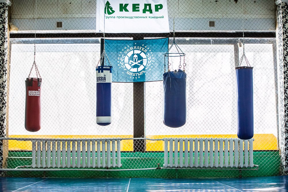 Спортивный клуб «Стая»