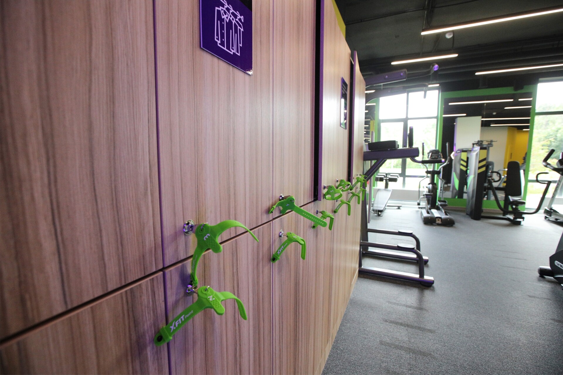 Фитнес-студия «X-Fit Point» (Митино)