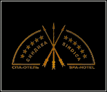 Лого SPA-отель «Синдика»