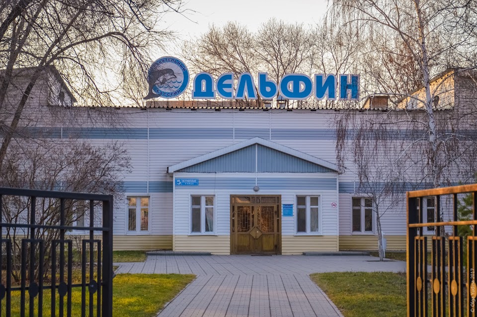 Плавательный бассейн «Дельфин»