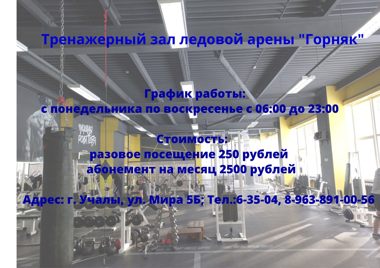 Ледовая арена «Горняк»