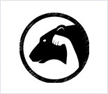 Лого Центр функциональной подготовки «Polar Bear»