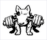 Лого Спортивный клуб «BULLTERRIER»