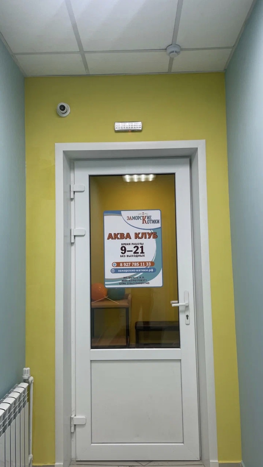 Детский бассейн «Заморские котики»