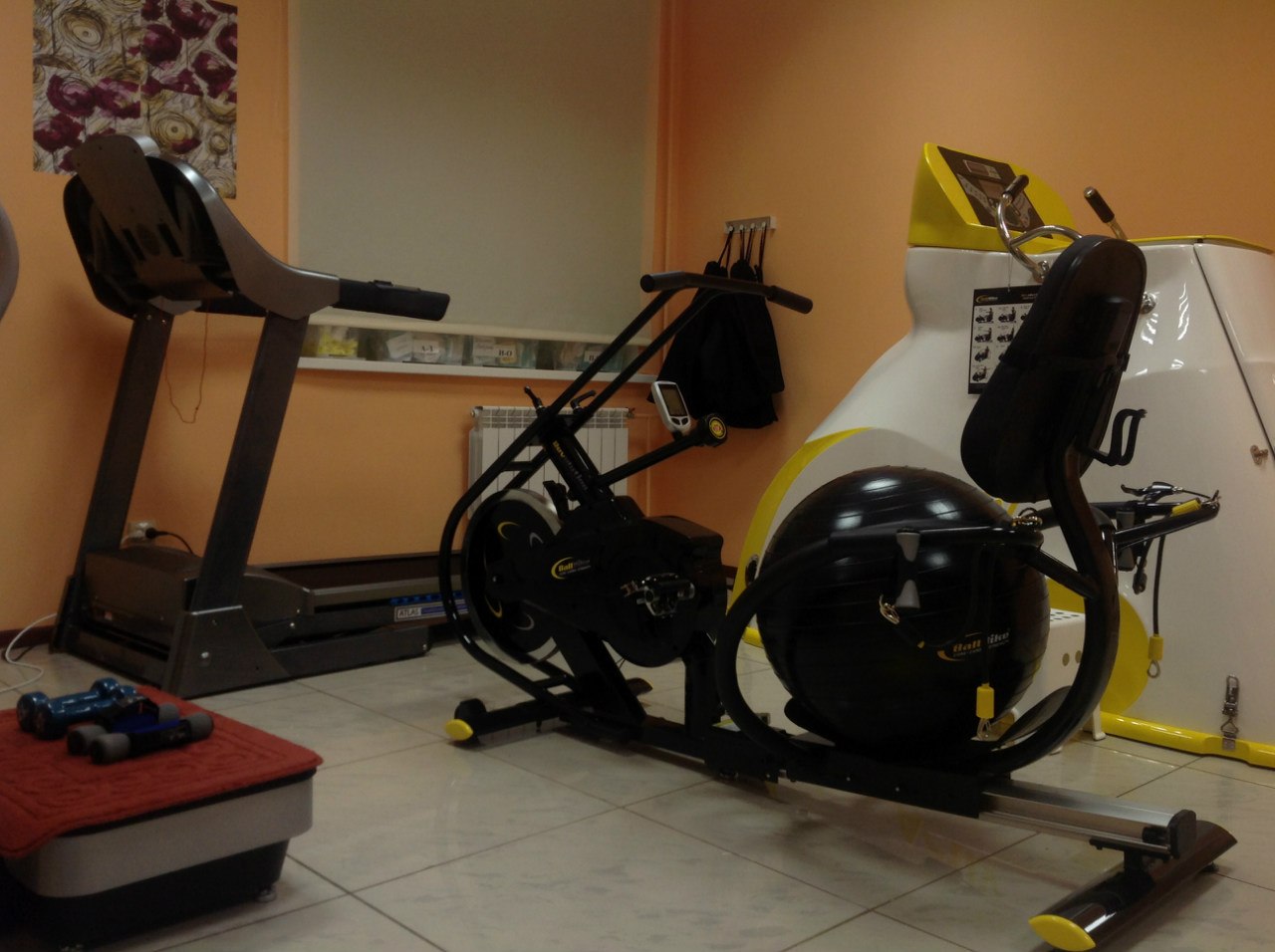 FitnessPro