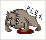 Лого Тренажёрный зал «Flex Gym»