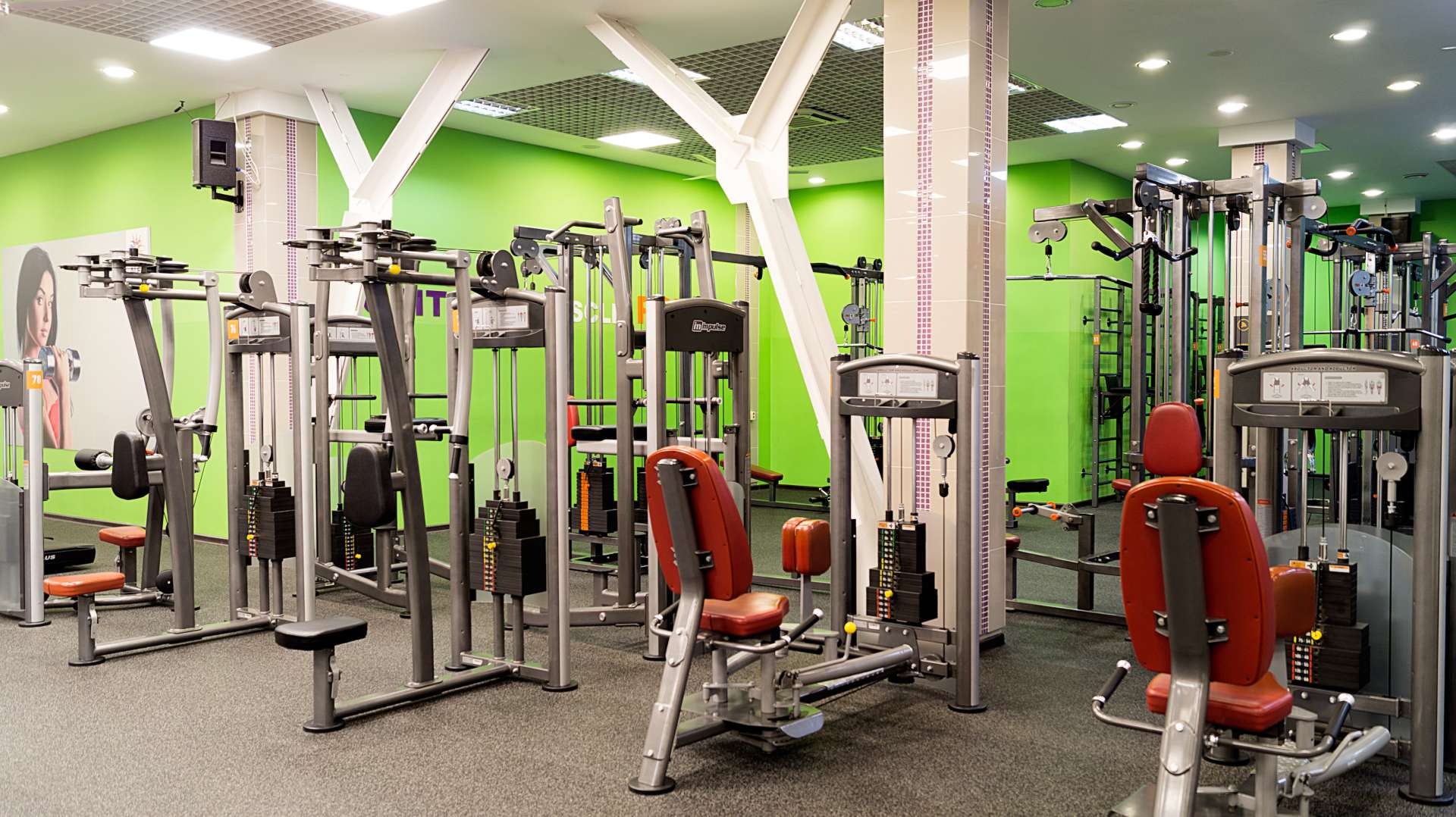 Фитнес-клуб «ALEX Fitness» (Автомолл)