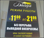 Лого Спортивный клуб «Багира»